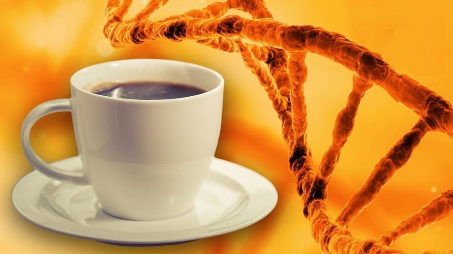 boissons gout effets
