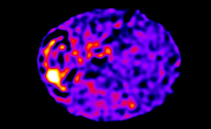 circuits cellules humaines processeur informatique