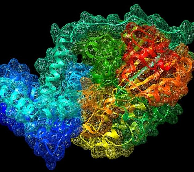 gene bacteries antibiotiques