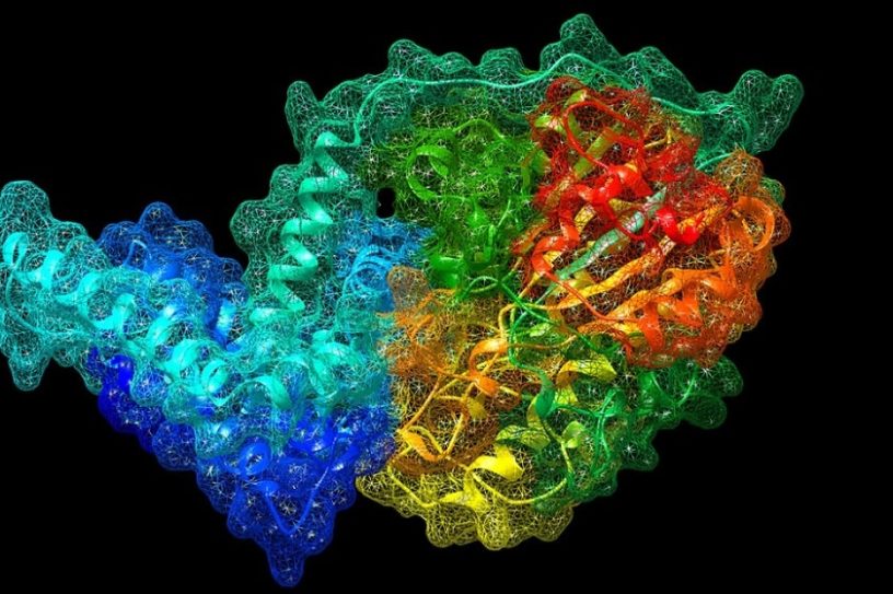 gene bacteries antibiotiques