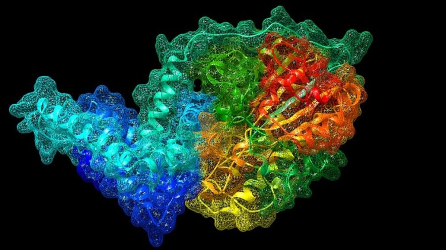 gene bacteries antibiotiques