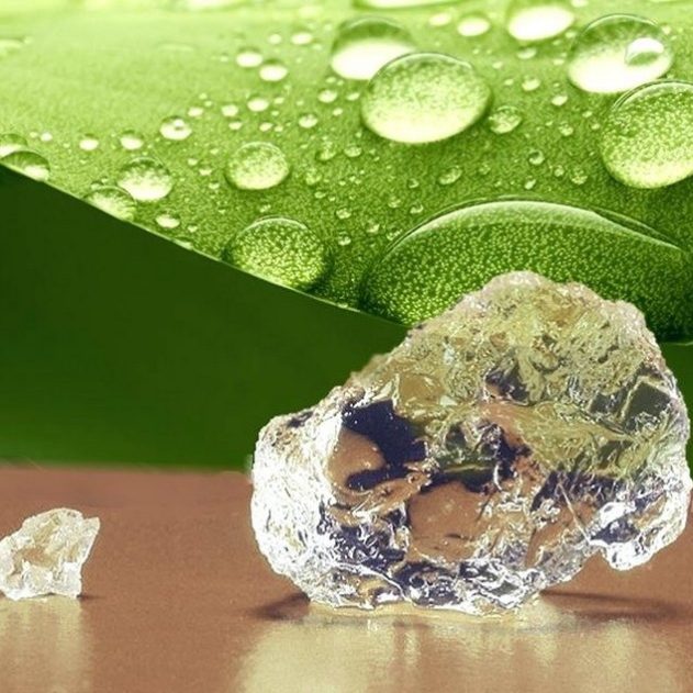 hydrogel