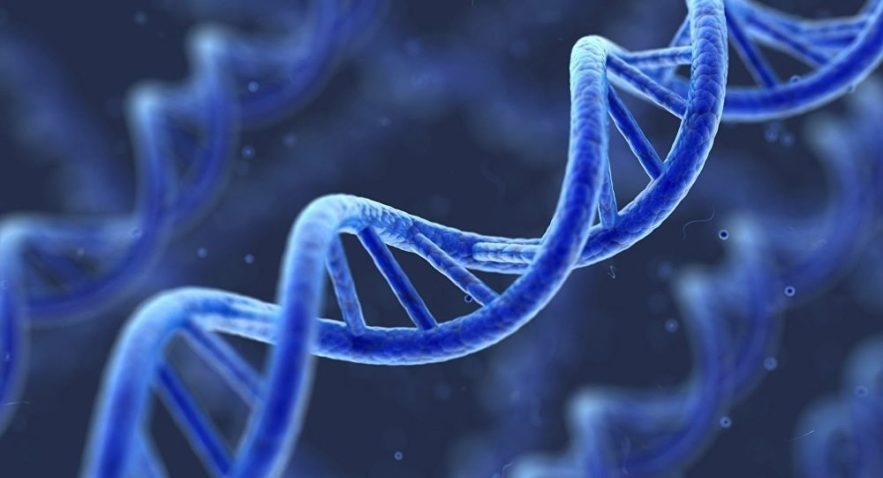mutation genetique lupus