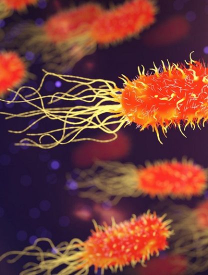 superbacterie