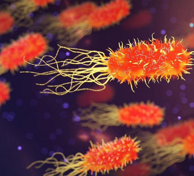 superbacterie