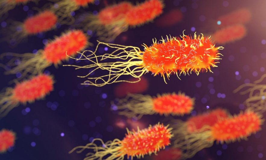 superbacterie