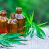CBD antibiotique