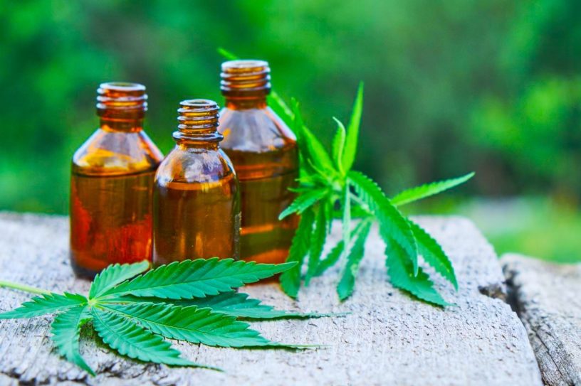 CBD antibiotique