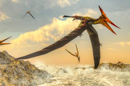 bebe pterodactyle voler