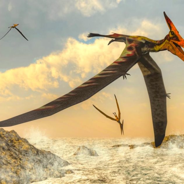 bebe pterodactyle voler