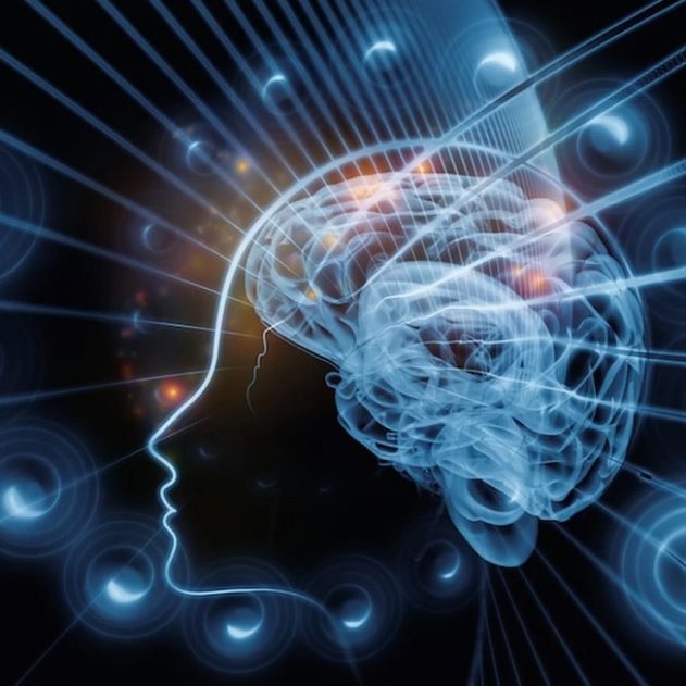 cerveau imagination realite