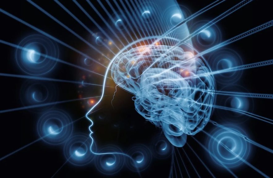 cerveau imagination realite
