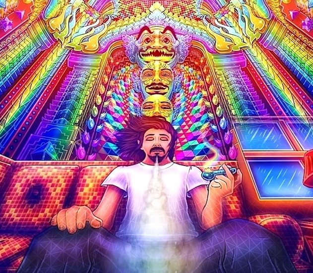 dmt hallucinogene decouverte dans cerveaux mammiferes