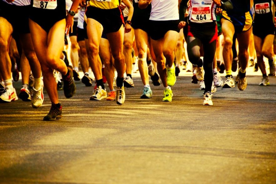 endurance metabolisme humain