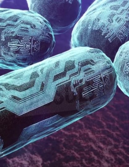 nano organisme co2