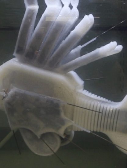 poisson robot fluide