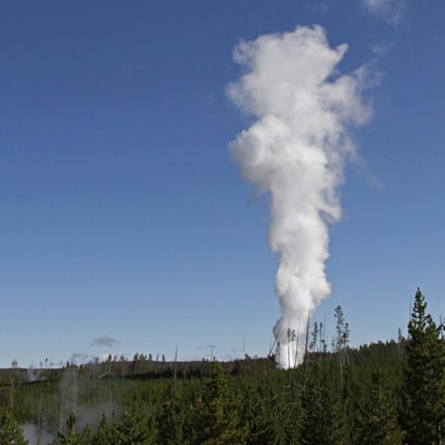 steambot geyser activite
