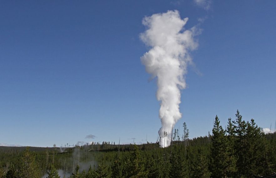 steambot geyser activite