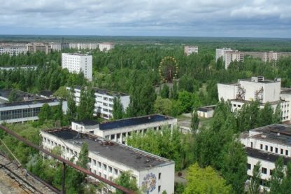 tchernobyl plantes