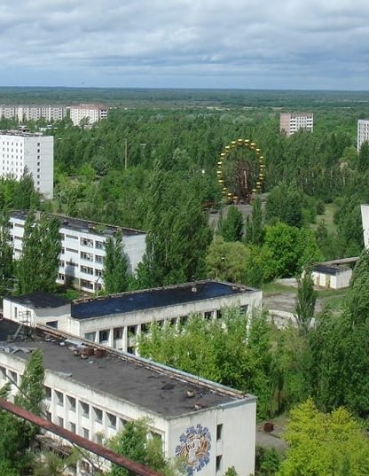 tchernobyl plantes