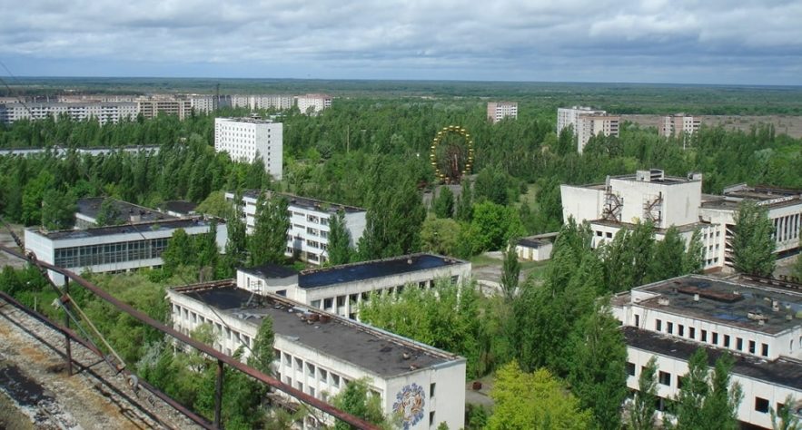 tchernobyl plantes