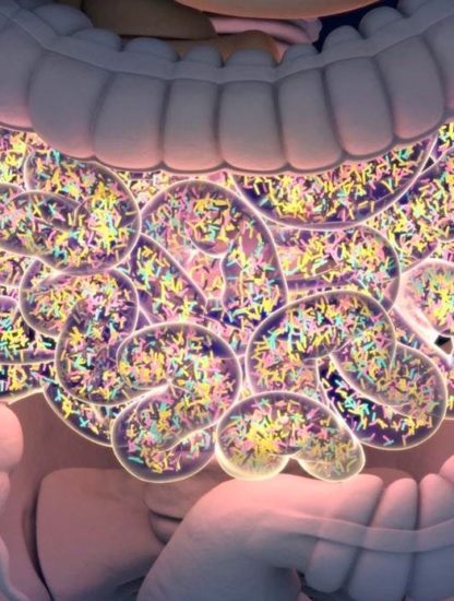 transplantation fecale infection mort
