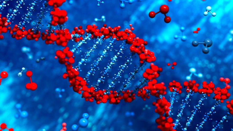 ARN epigenetique molecules