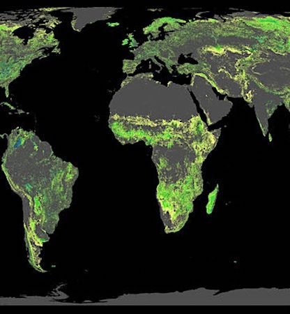 ajout 1 milliard hectares forets lutte changement climatique