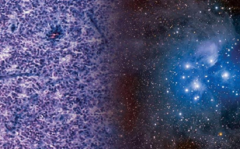 astronomie cancer