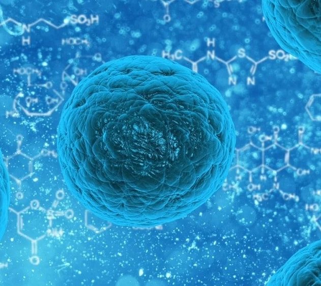 cancer graisses