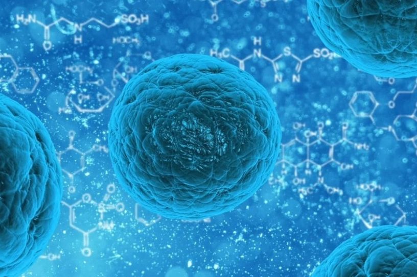 cancer graisses