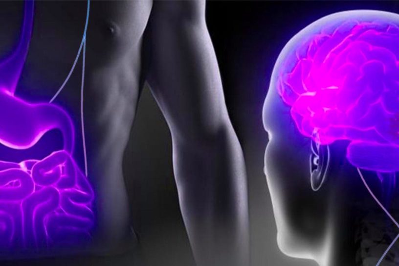 cerveau intestin parkinson