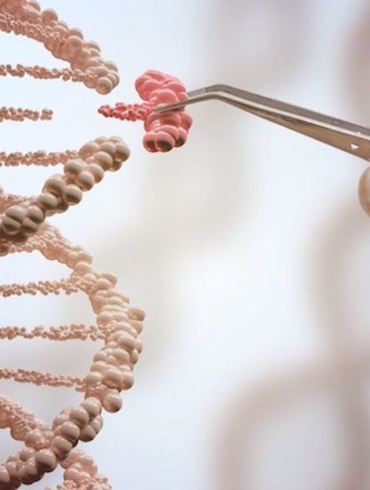 crispr therapie humain