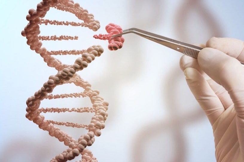 crispr therapie humain