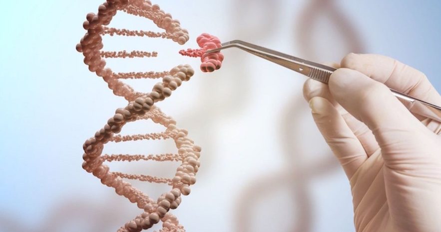 crispr therapie humain