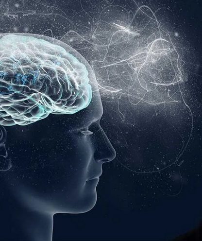 elon musk neuralink