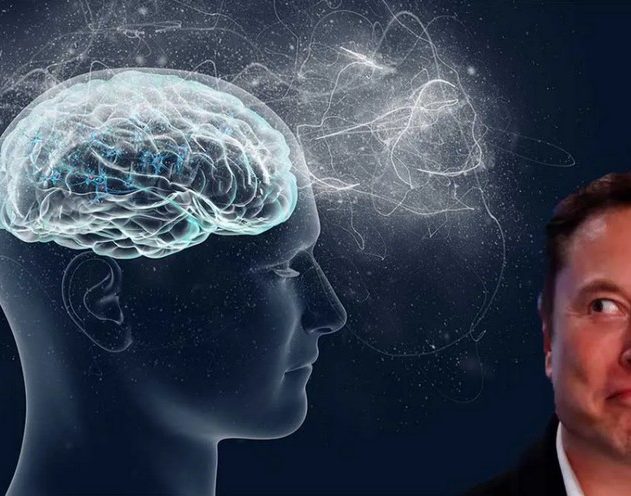 elon musk neuralink