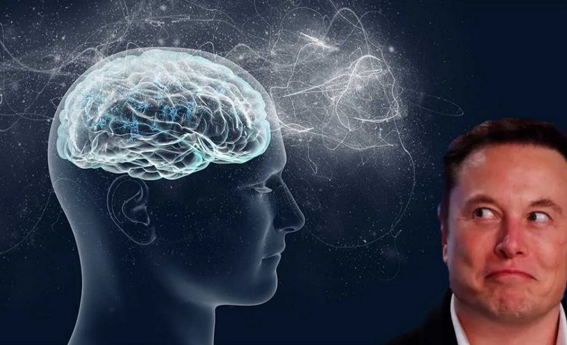 elon musk neuralink