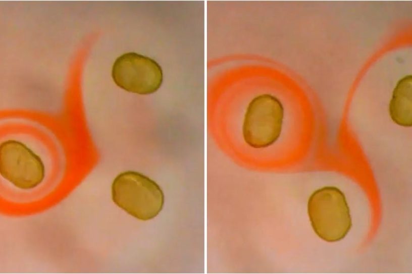 liquide magnetique permanent