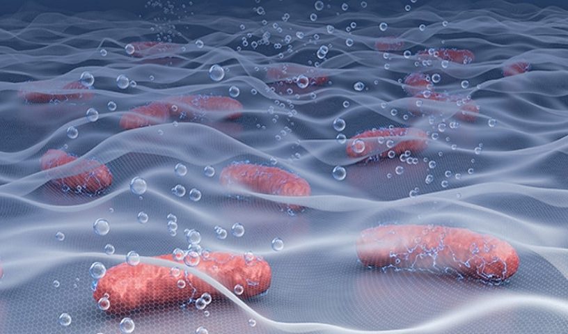 materiau biohybride energie