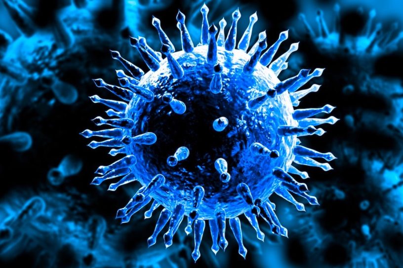 virus grippe vaccin