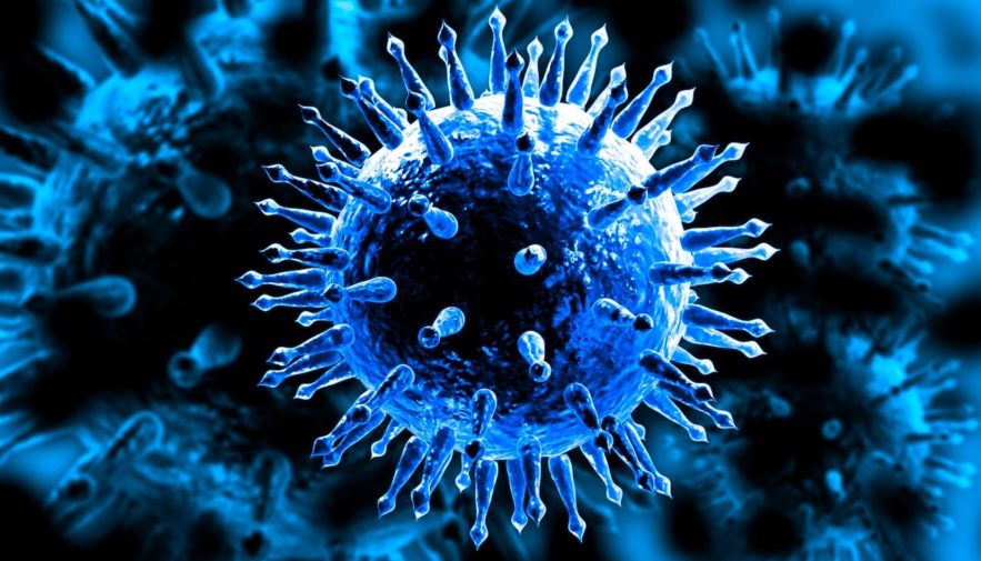 virus grippe vaccin