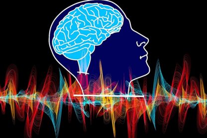 comment souvenirs sont encodes groupes neurones