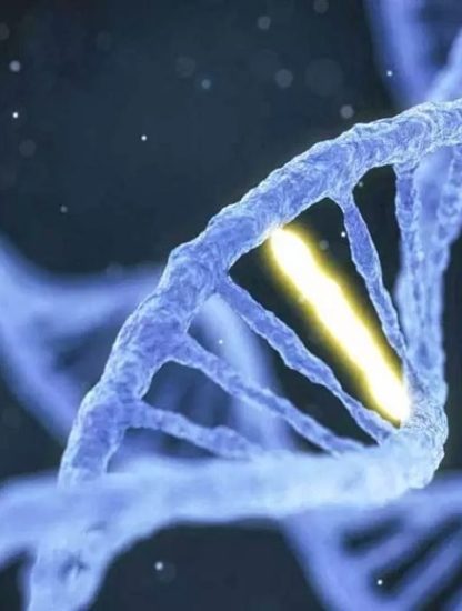 crispr multigenes