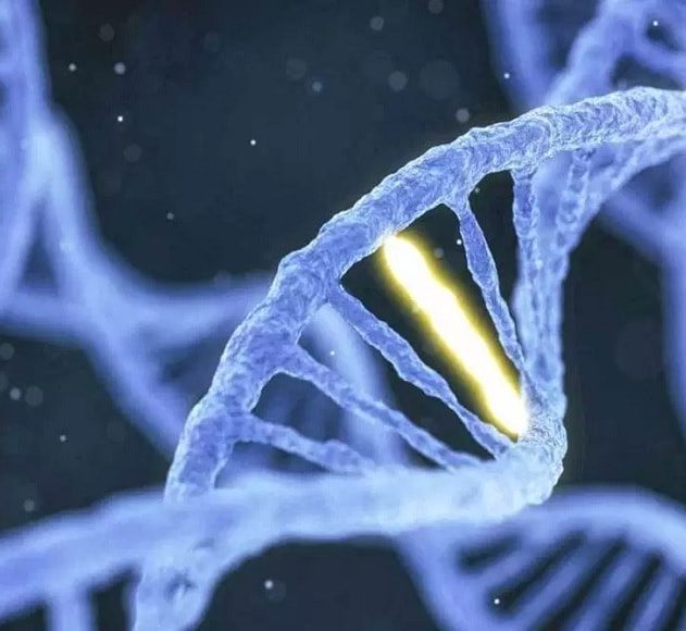 crispr multigenes