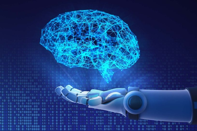 ia cerveau animaux