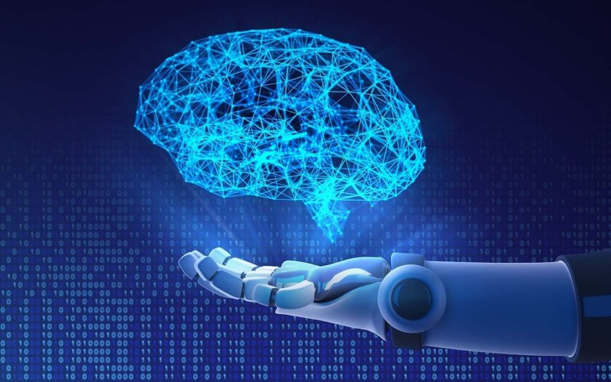 ia cerveau animaux