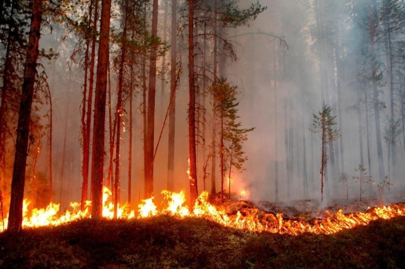 incendies arctique