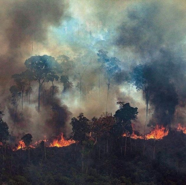 incendies bolivie