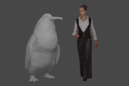 pingouin nouvelle zelande taille humaine